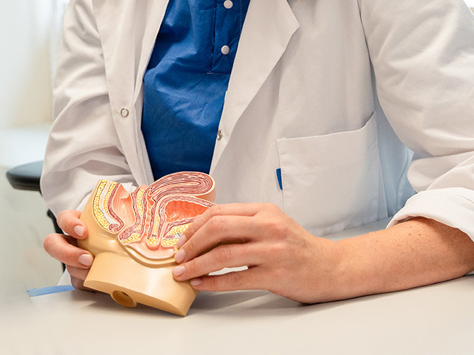 Kvinne holder en figur av underlivet