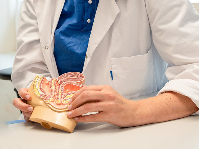 Kvinne holder en figur av underlivet