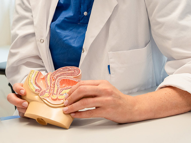 Kvinne holder en figur av underlivet