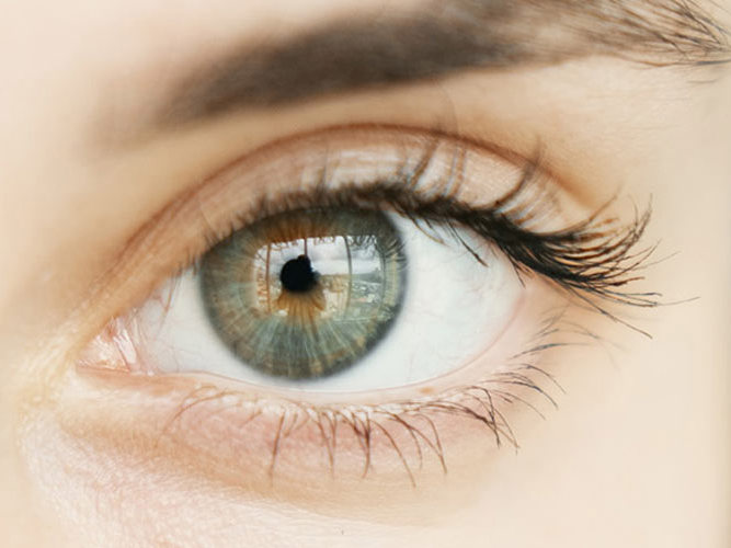 Øyelege - nærbilde av øyne