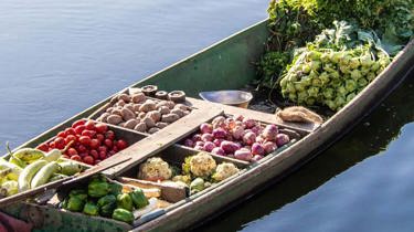 En langbåt lastet med frukt og grønnsaker. reisemedisin. 